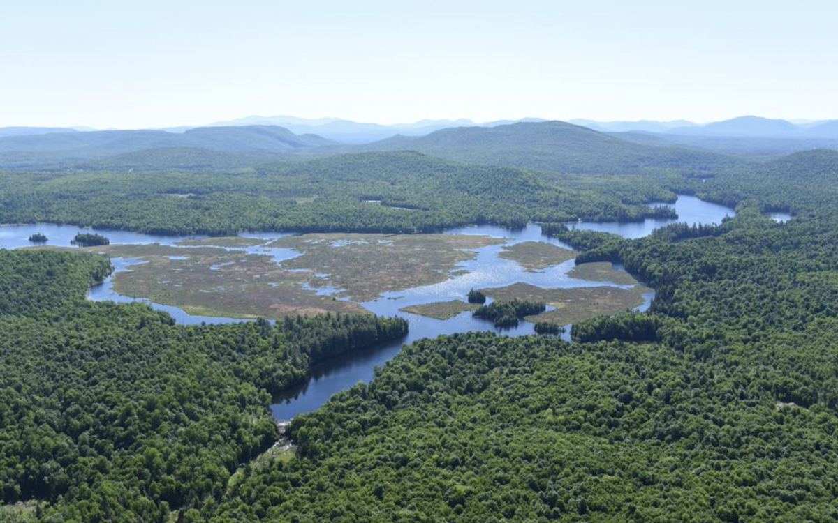 Twin Ponds Land for Sale (4,340 acres) Near Malone, NY Merrill L