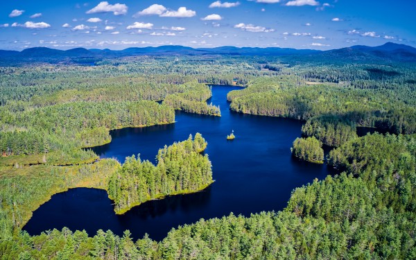 Forestmere Great Camp For Sale Merrill L Thomas Real Estate Merrill L Thomas Inc Real Estate