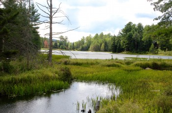 Adirondack Waterfront Homes for Sale - Merrill L. Thomas, Inc